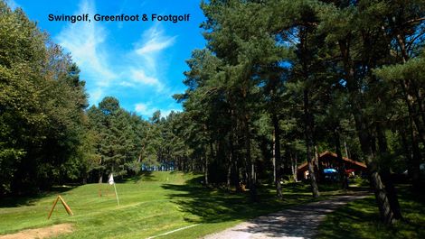 Swingolf & Greenfoot